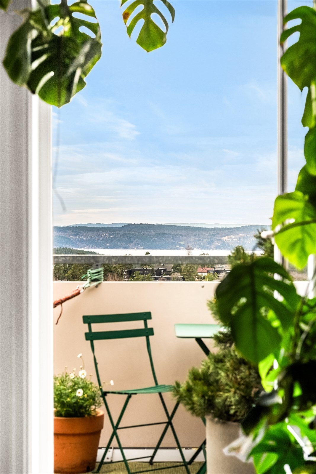 Her omfavnes du av frodige planter som skaper en lun og innbydende atmosfære. Galleribilde
