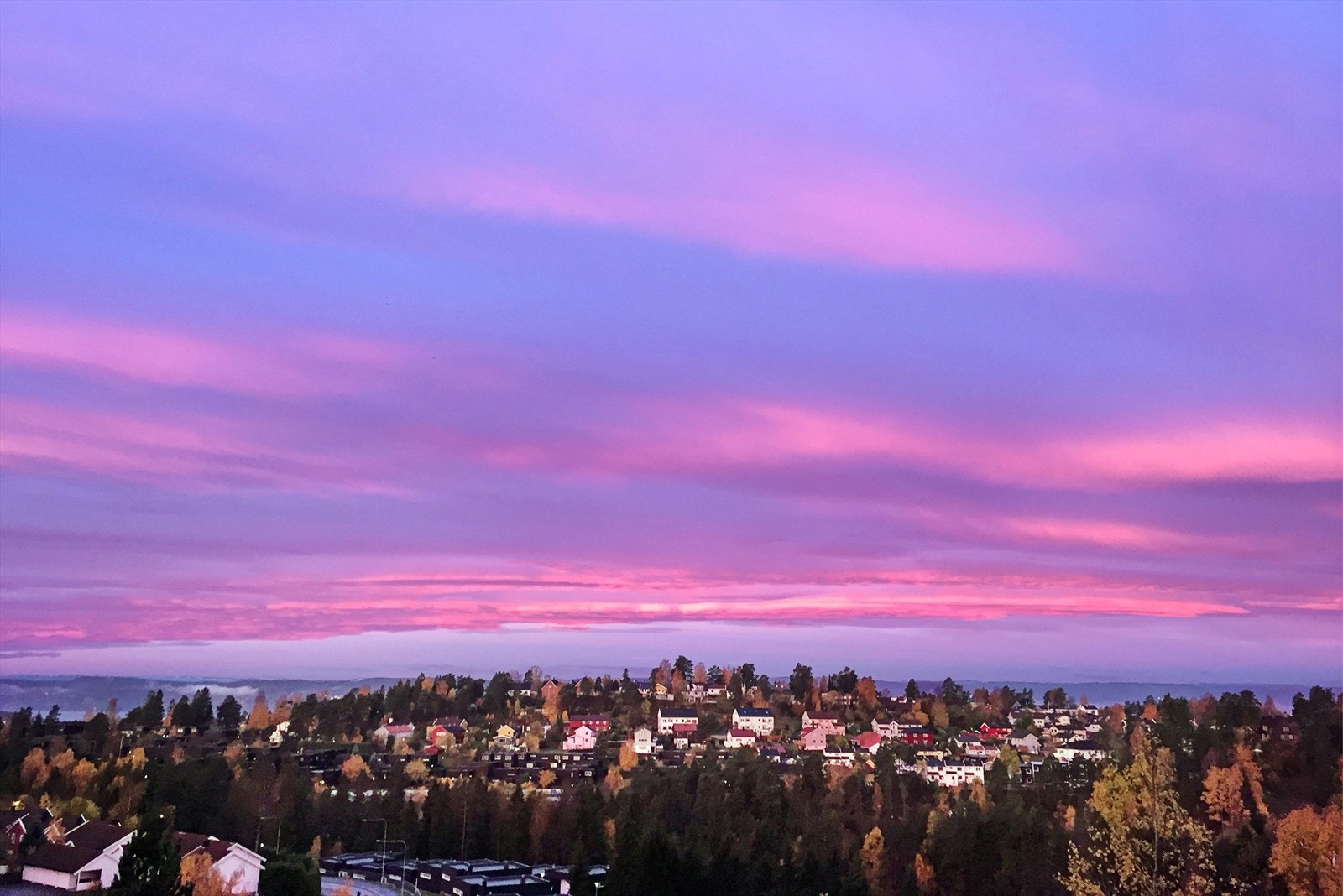 Privat bilde fra selger. Galleribilde