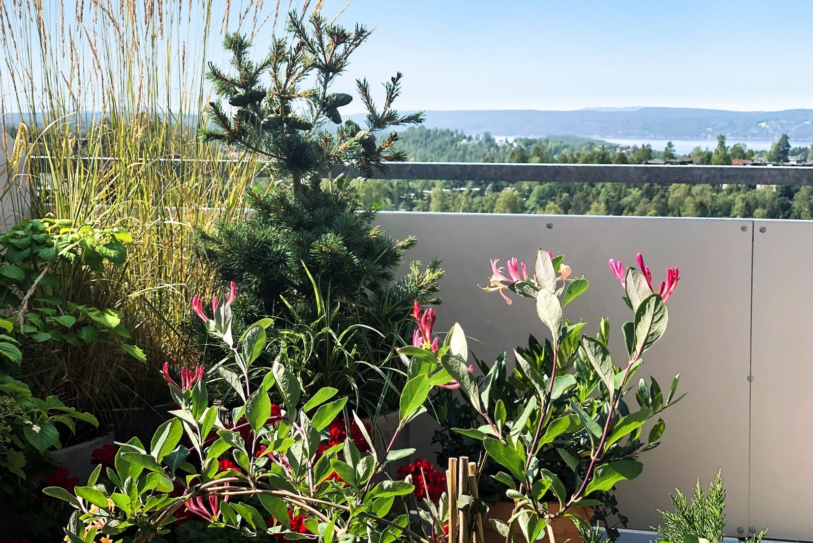 Privat bilde fra selger. Galleribilde