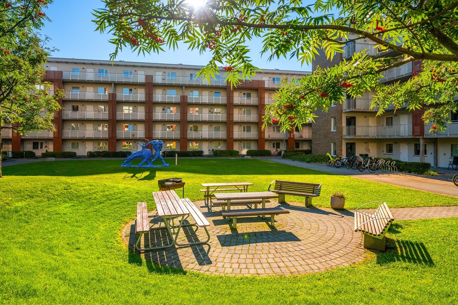 Sameiet har en stor, grønn bakgård til glede for beboere. Galleribilde