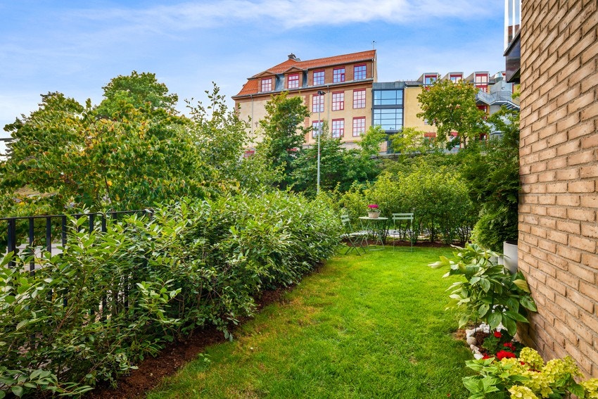 Sommerbilde hvor hekken er tett og fin. Galleribilde