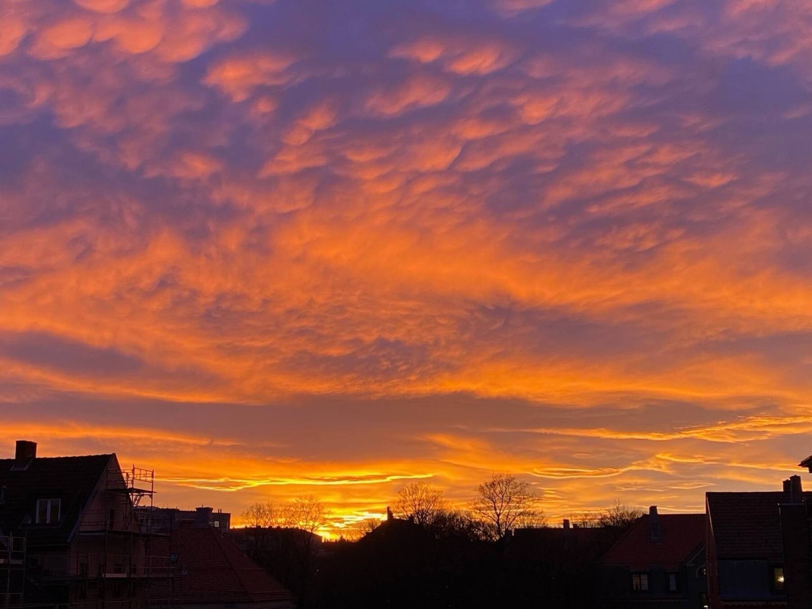 Her har selger knipset ett av mange magiske øyeblikk du kommer til å se ut av vinduene her. Galleribilde