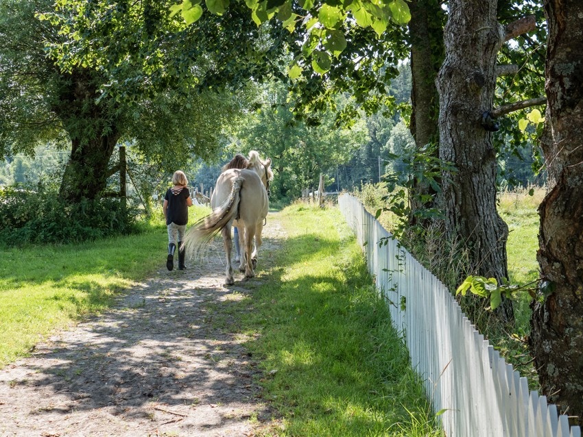 Mange fine turmuligheter i området Galleribilde