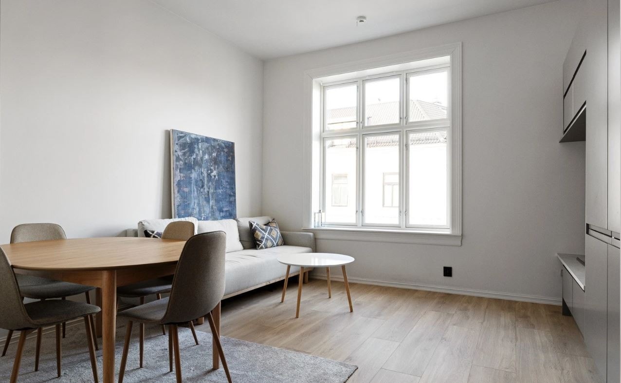 Arealeffektiv, møblert 2- romsleilighet med strøm, varmtvann og fyring inkl. Galleribilde