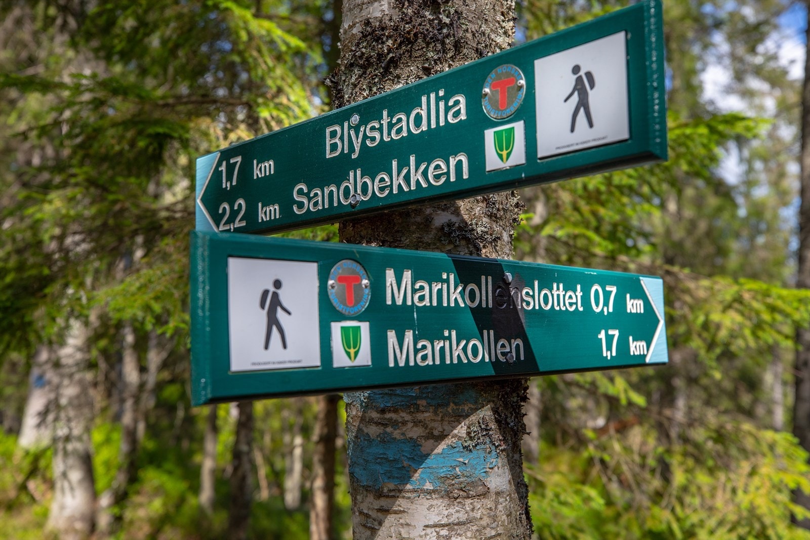 Leiligheten har hele Østmarka som nærmeste nabo. Galleribilde