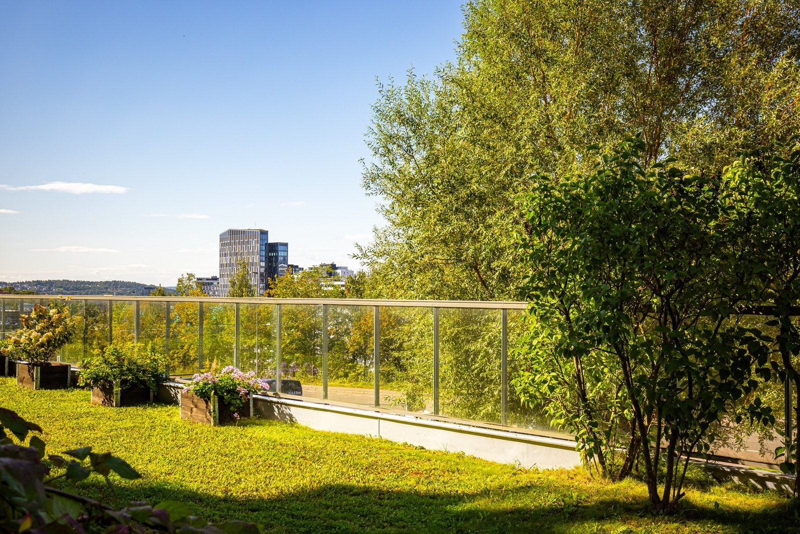 Borettslaget byr på fine grøntområder. Galleribilde