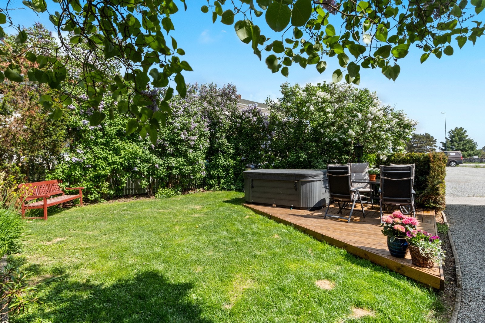 Hagen på sommerstid. Galleribilde