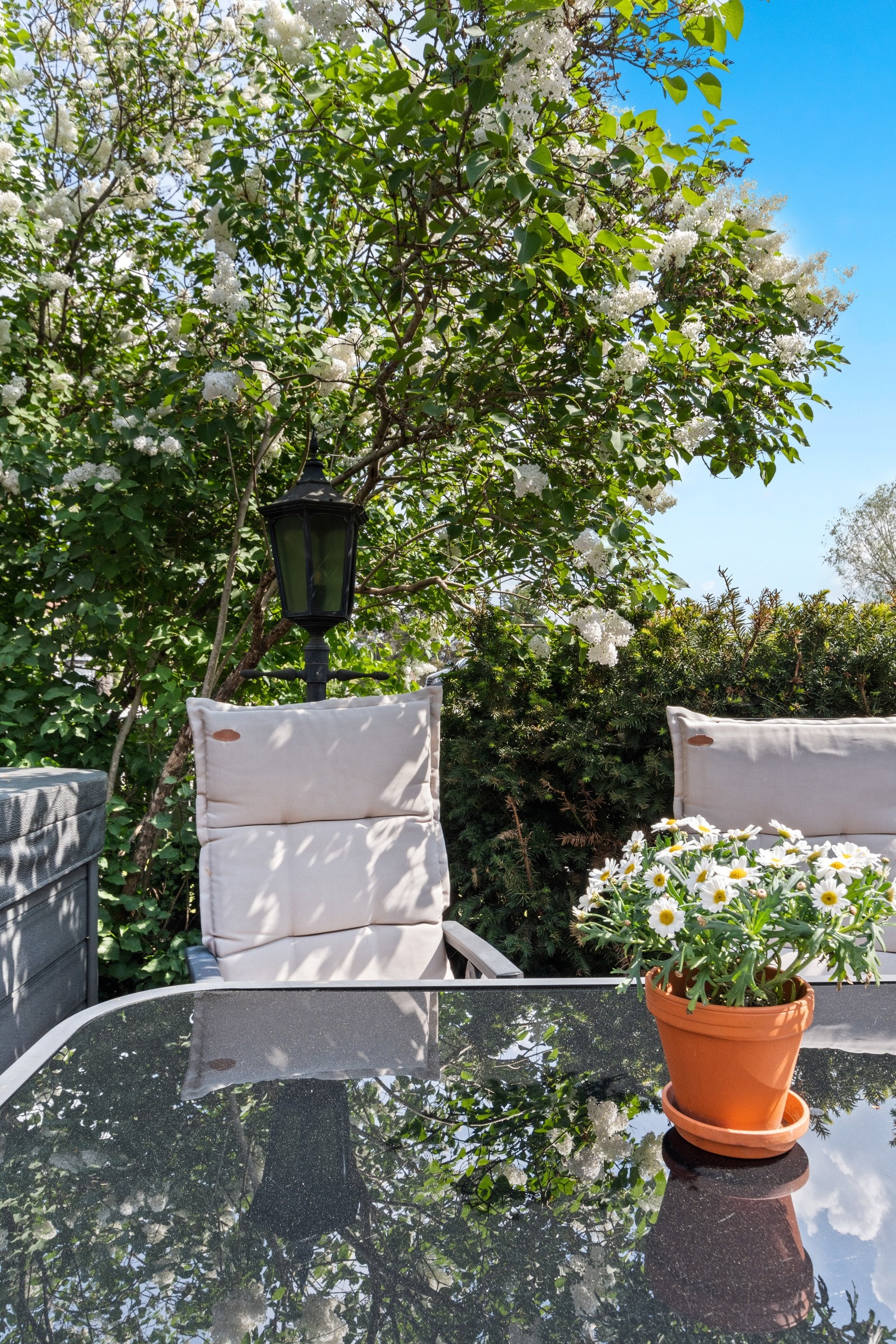 Her kan du nyte sene sommerkvelder i godt selskap! Galleribilde