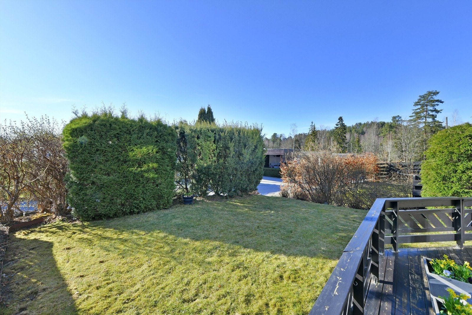 Solrik hage med gode solforhold - orientert mot vest - opparbeidet med gressplen og diverse beplantning Galleribilde