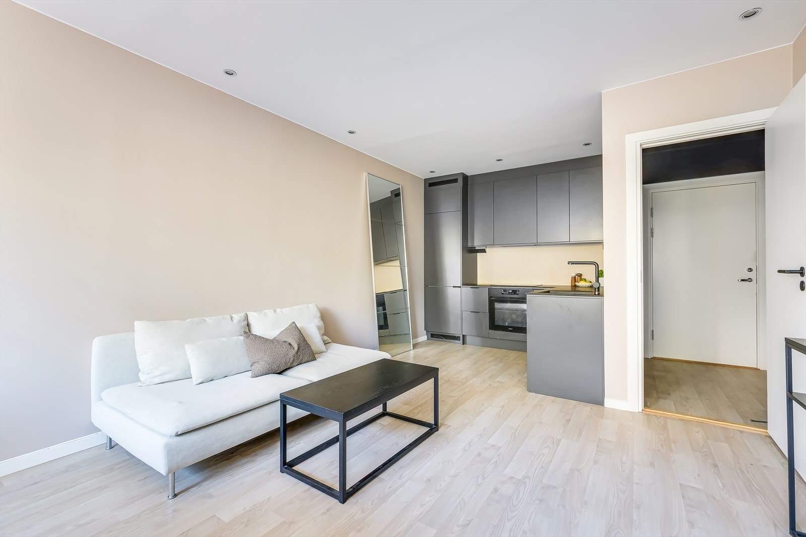 Arealeffektiv 2-roms med optimal planløsning - Sosial bolig med gode rom Galleribilde