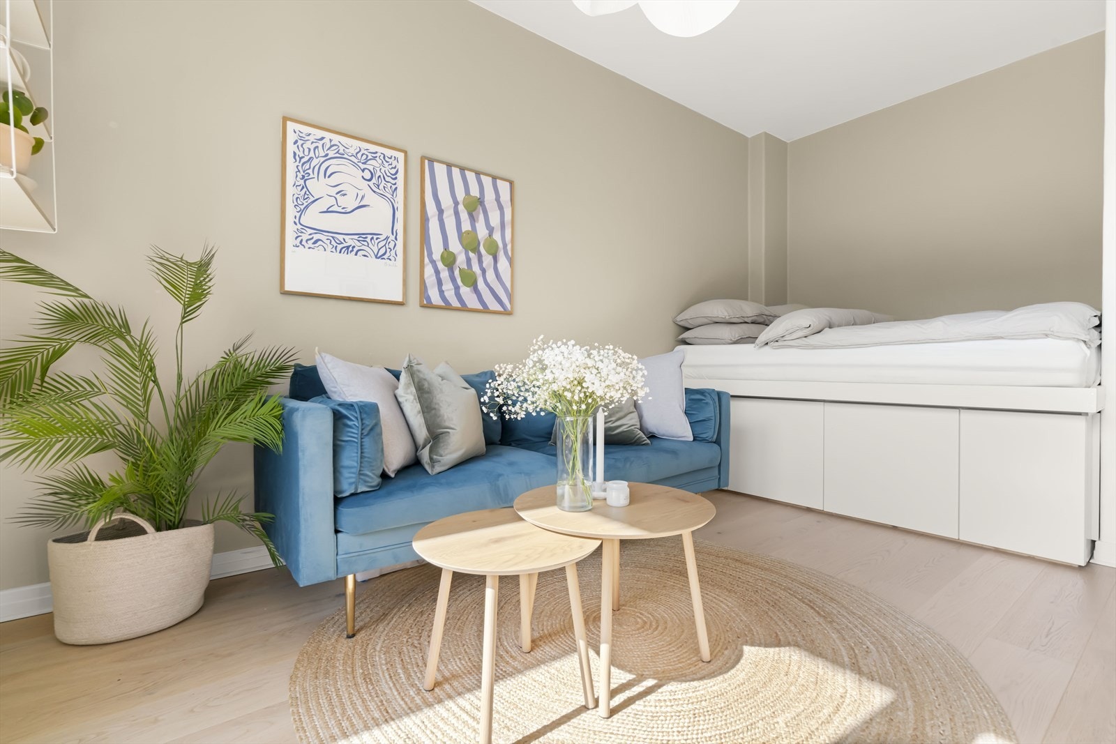 Gjennomtenkt planløsning med plass til en hyggelig sovesone i hjørnet, en sofakrok og eventuelt et lite spiseområde. Galleribilde