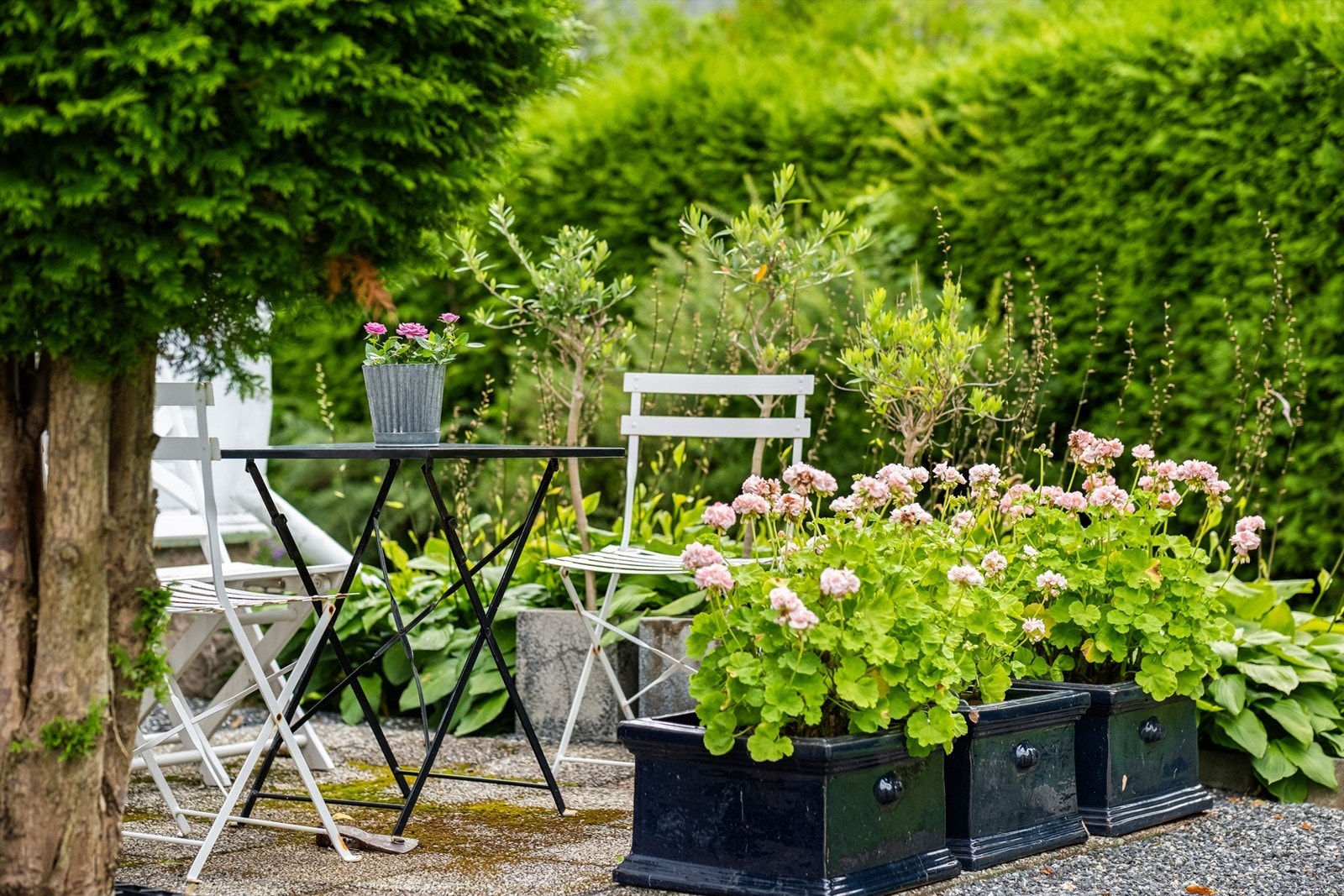 I hagen og rundt ytterveggene er det sol til ulike tider gjennom dagen. Galleribilde