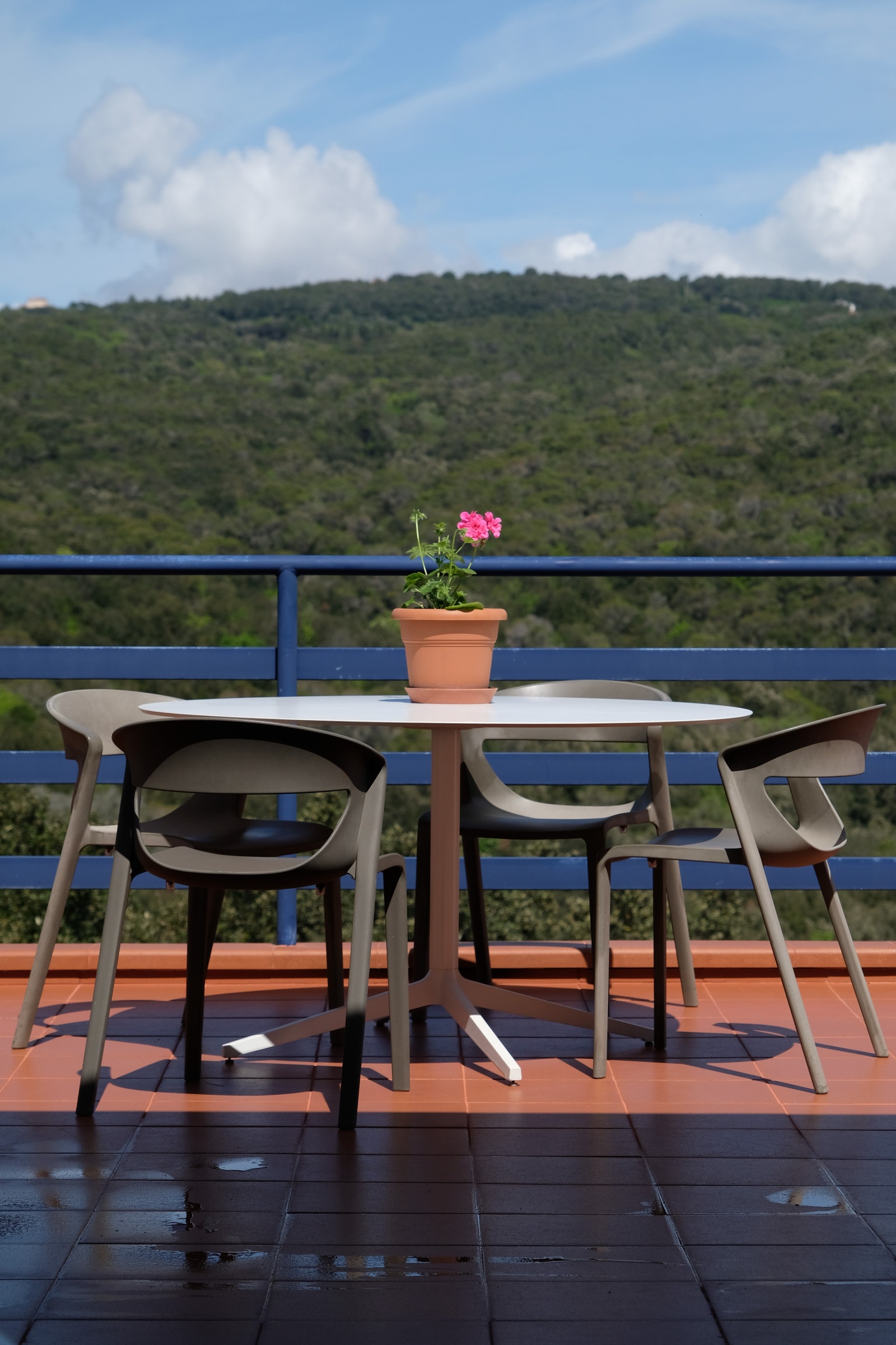 Foto 19.04.2025 Galleribilde