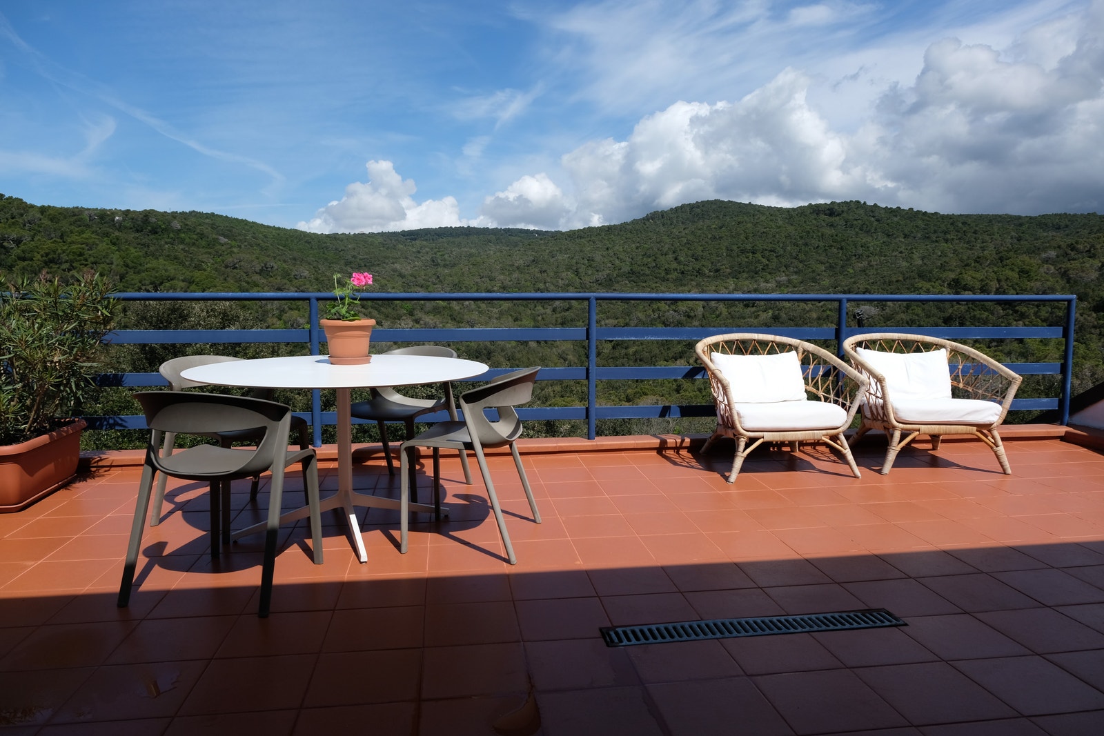 Foto 19.04.2025 Galleribilde