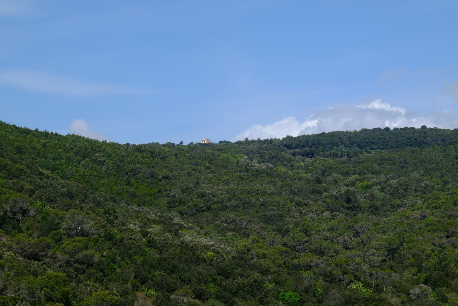 Foto 19.04.2025 Galleribilde