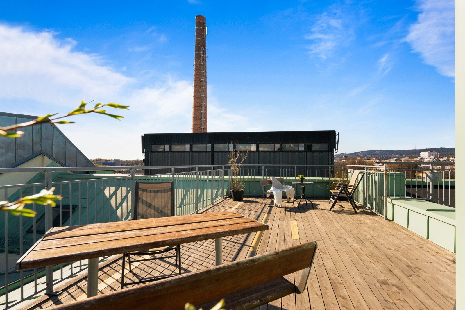 Nyt sommeren i luftige omgivelser. Galleribilde