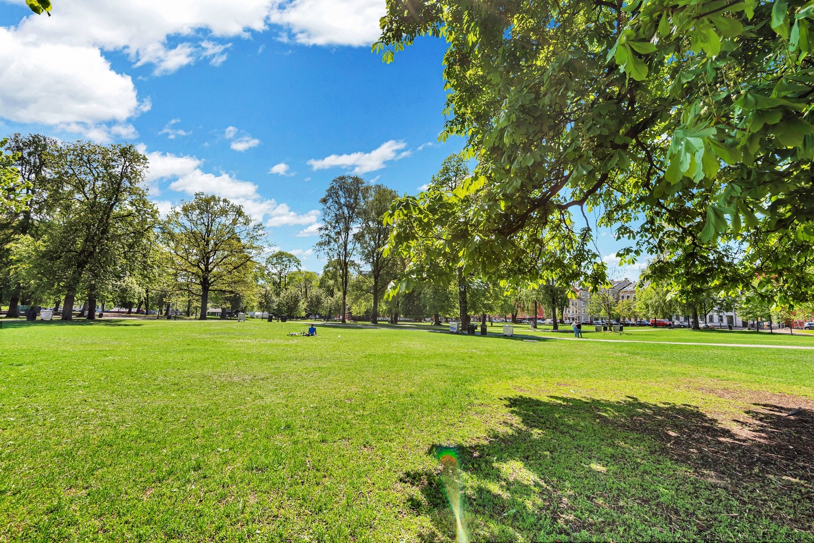 Sofienbergparken blir flittig brukt om sommeren, men ligger langt nok unna til at man ikke hører støy fra parken unntatt når det er festival der. Galleribilde