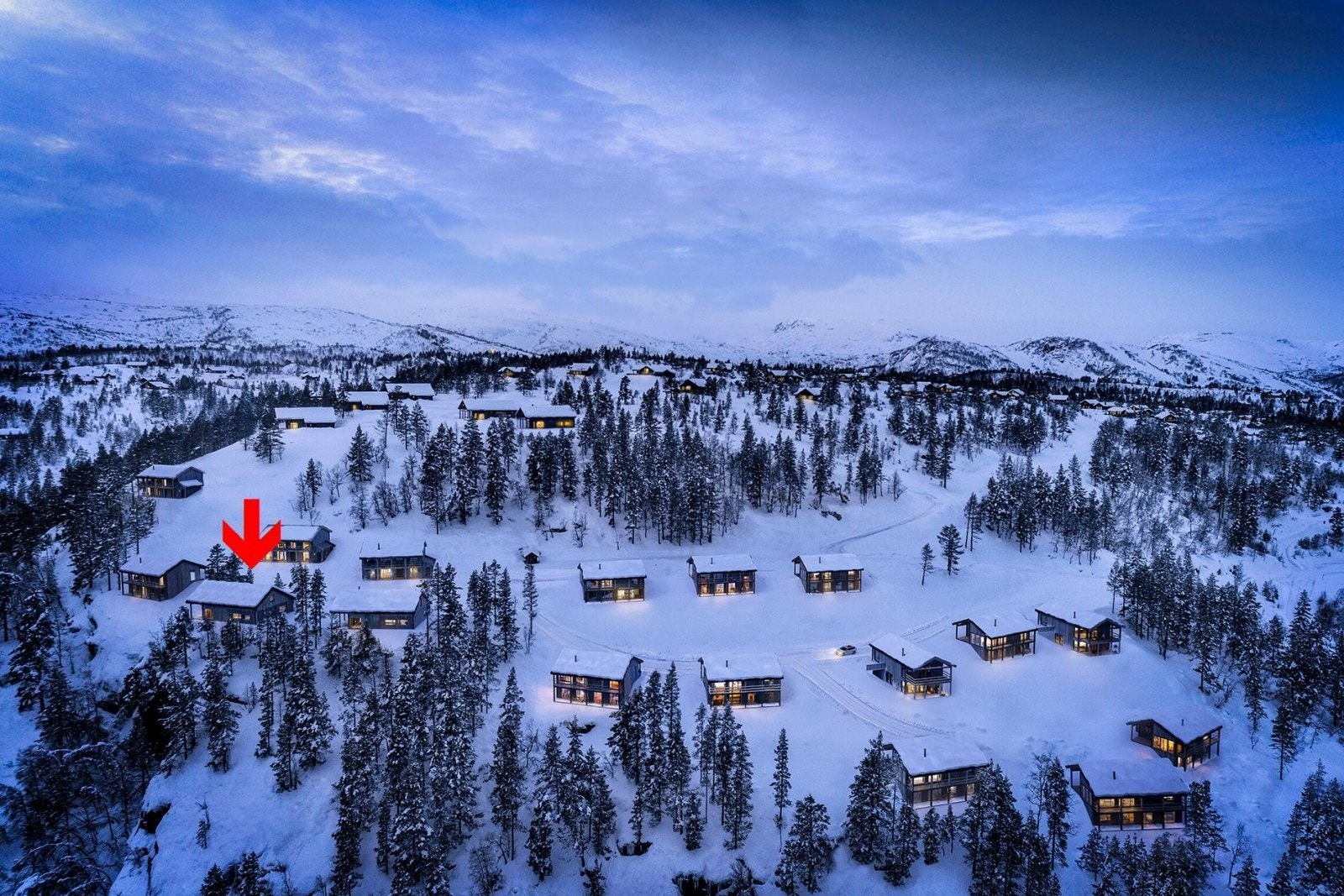 Illustrasjonsfoto vinter Galleribilde