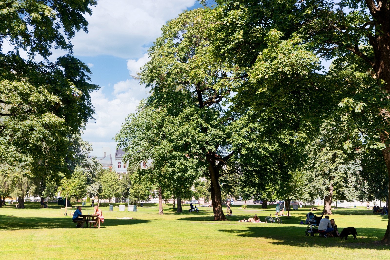 Sofienbergparken og Birkelunden med et yrende folkeliv, marked og konserter ligger like ved boligen. Galleribilde