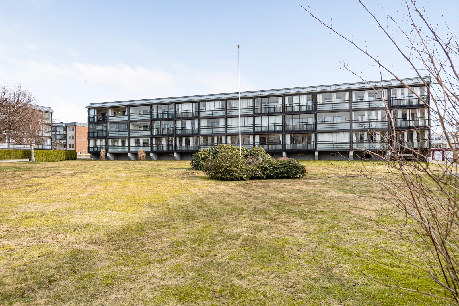 Store grøntområder. Galleribilde