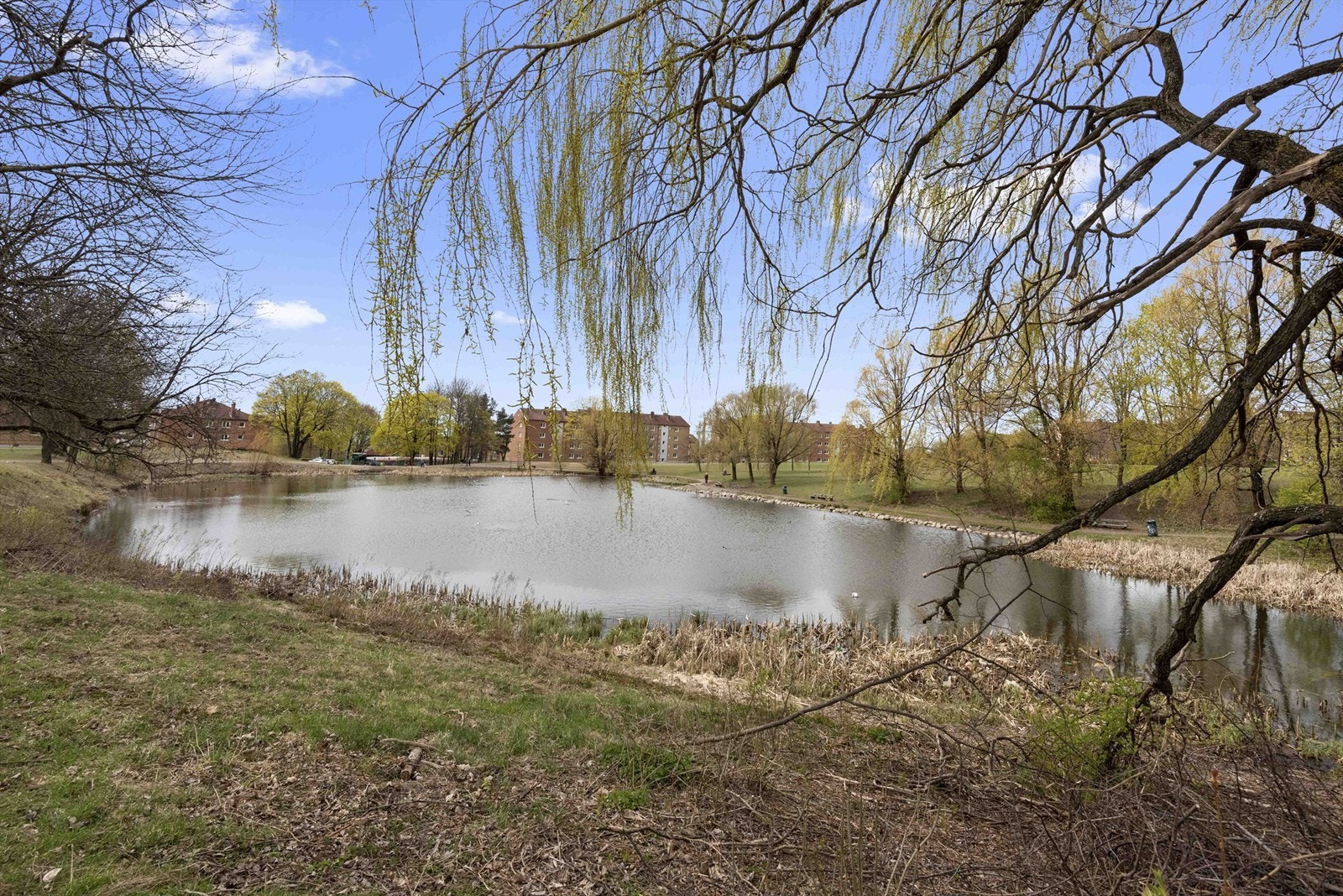 Bydelen har flere aktivitetstilbud som Bryn kunstgressbane med ballbinge, Valle Hovin med andedam, fotballbaner, skøytebane, treningssenter og diverse andre fritidstilbud. Galleribilde