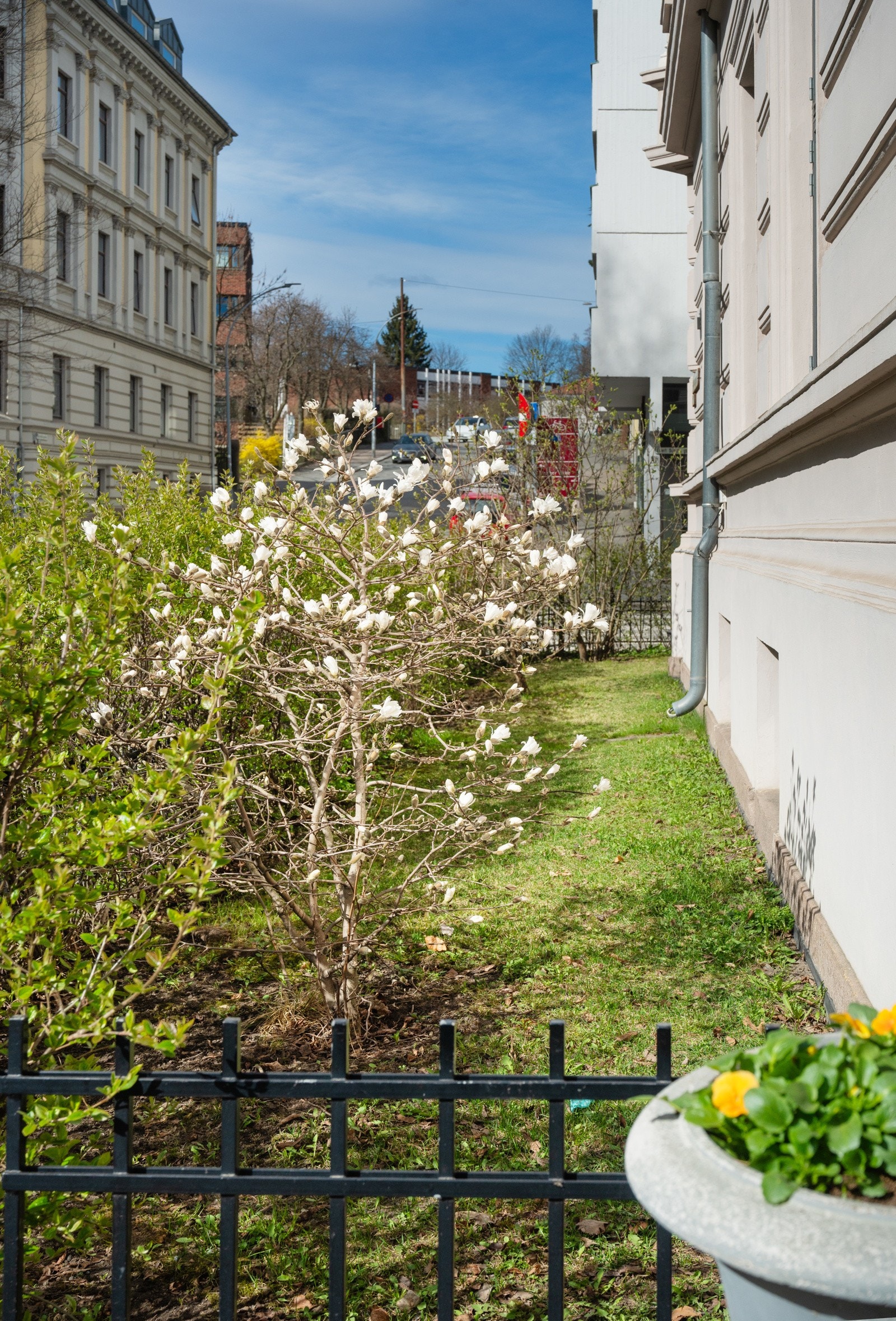 Foran bygget, mot Uranienborgveien og Eilert Sundts gate, er eiendommen omkranset av en hekk Galleribilde