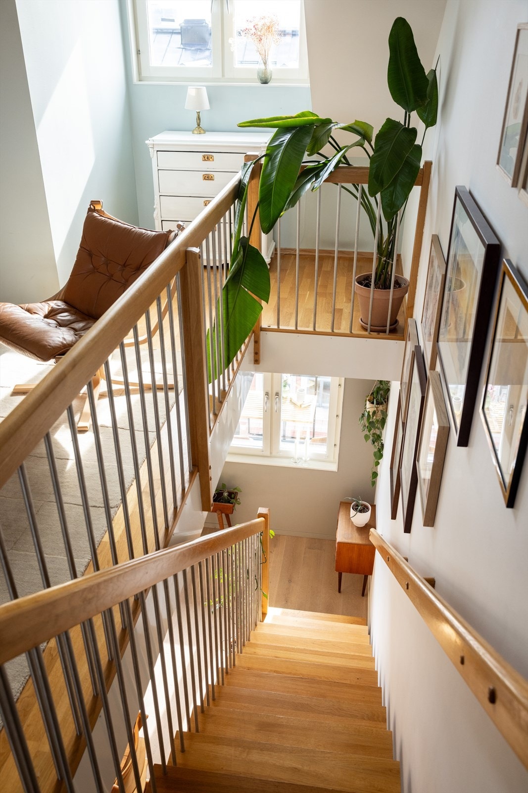 - Trappeløp - Galleribilde