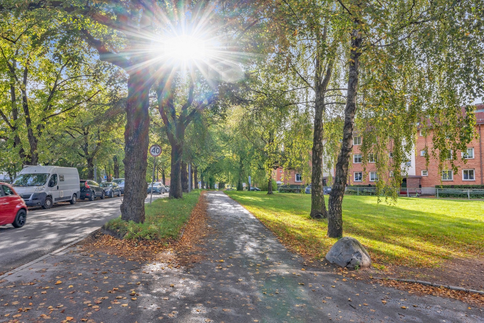 - Nærområde - Galleribilde