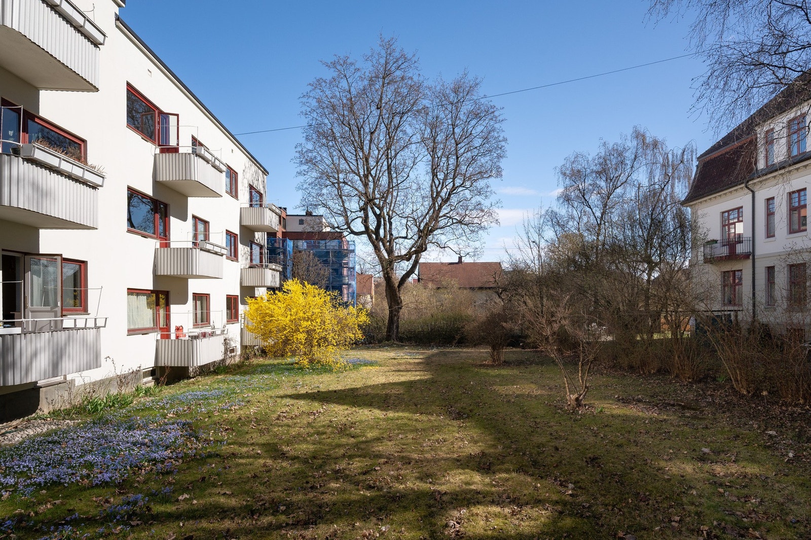 Sameiet har nydelige, solrike felleshager på begge sider av gården. Galleribilde