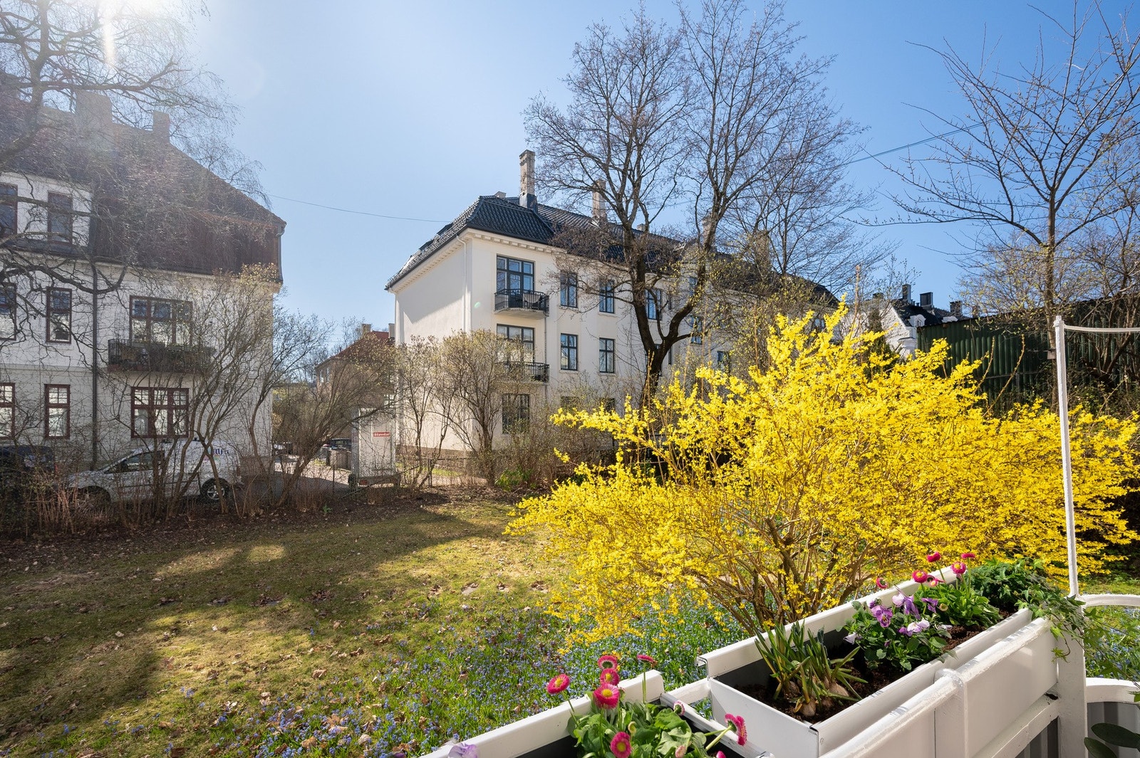Nydelig forhage som oppleves som en privat park for beboerne på sommerstid. Galleribilde