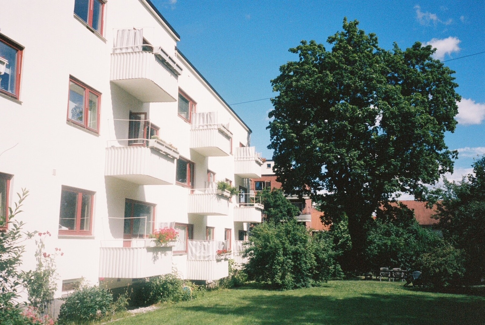 Selgers bilde av hagen. Galleribilde