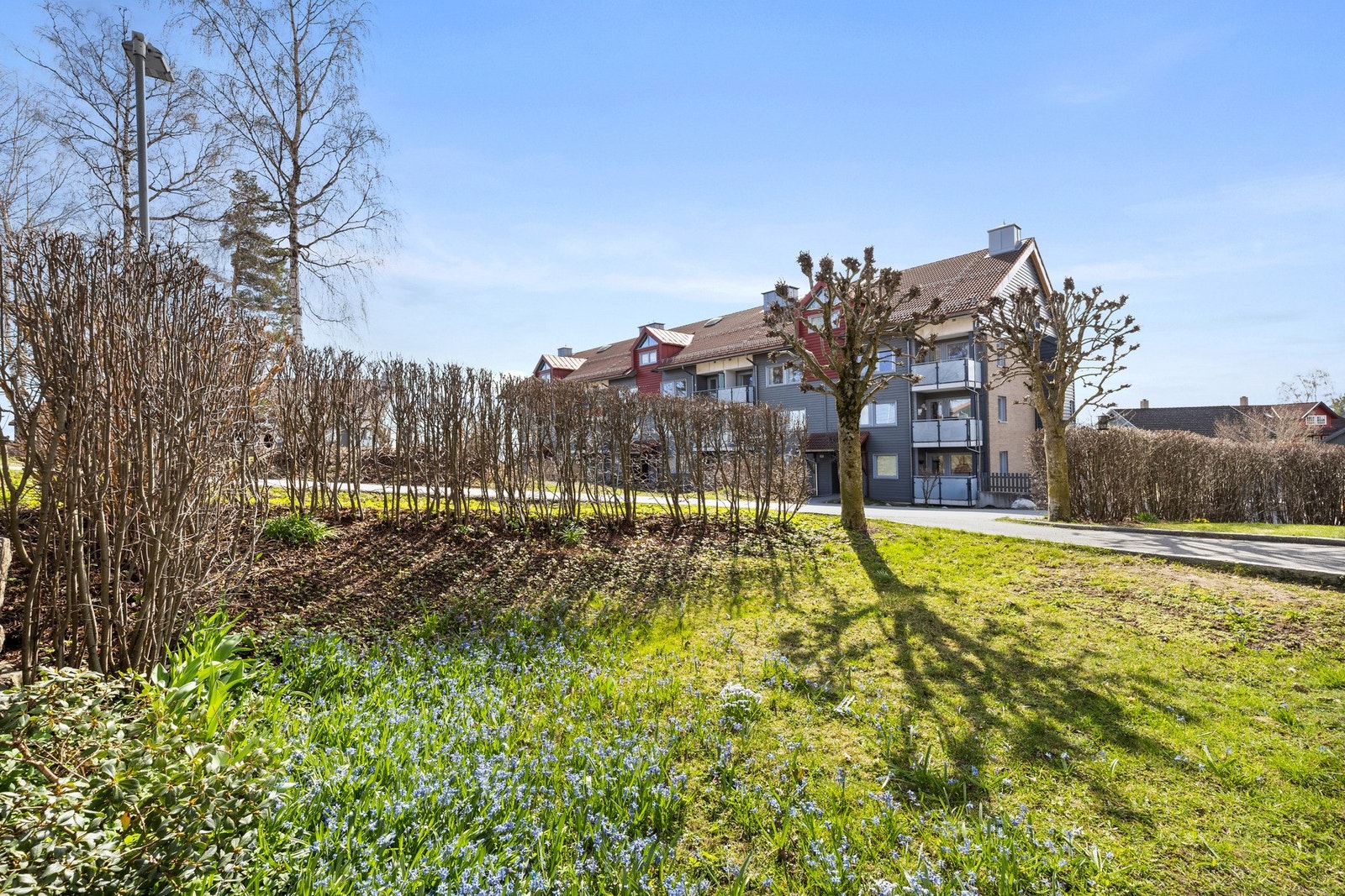 Området er kjent som et eldorado for barnefamilier med store grøntområder, fotballbaner, et aktivt idrettsmiljø, nærhet til marka, Ringi gård, Kadettangen m.m. Galleribilde