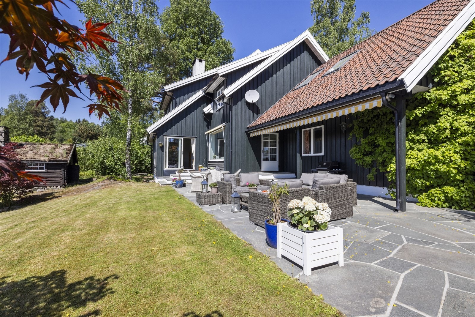 På baksiden av huset er tomten fullstendig usjenert Galleribilde