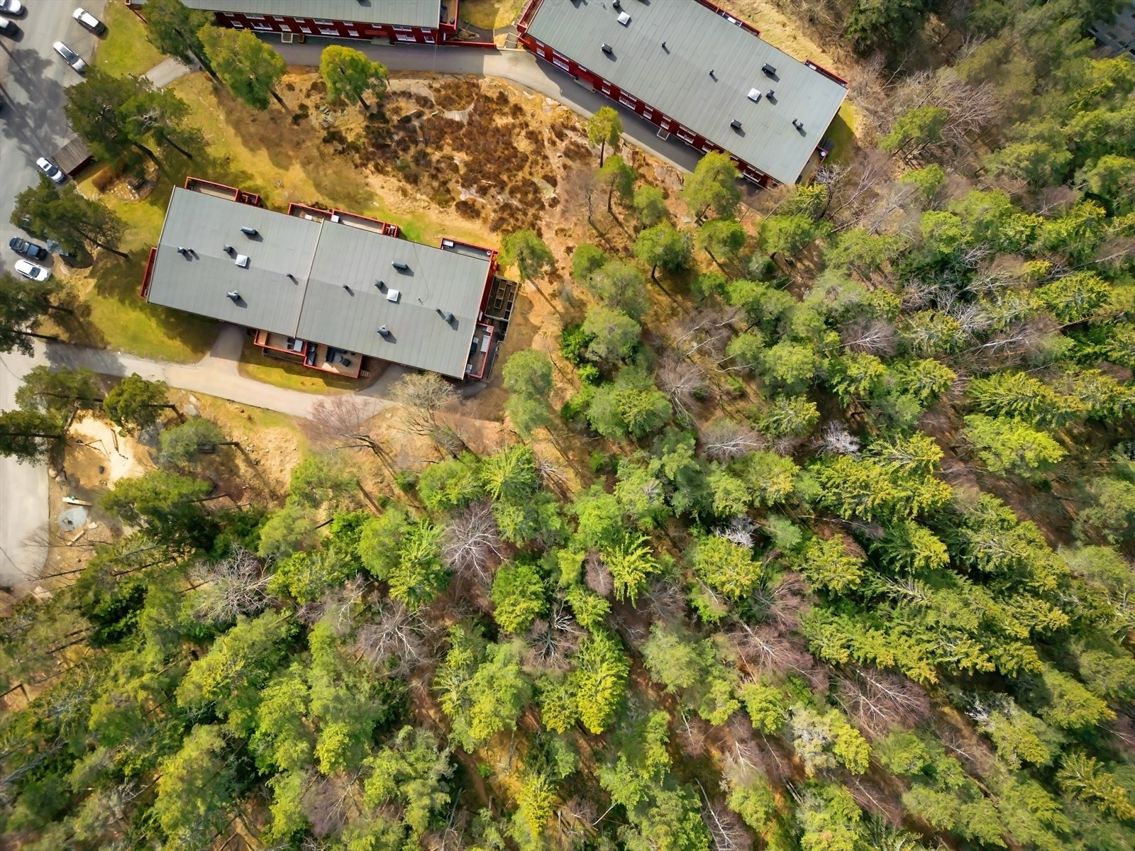 Rett ut til marka. Galleribilde