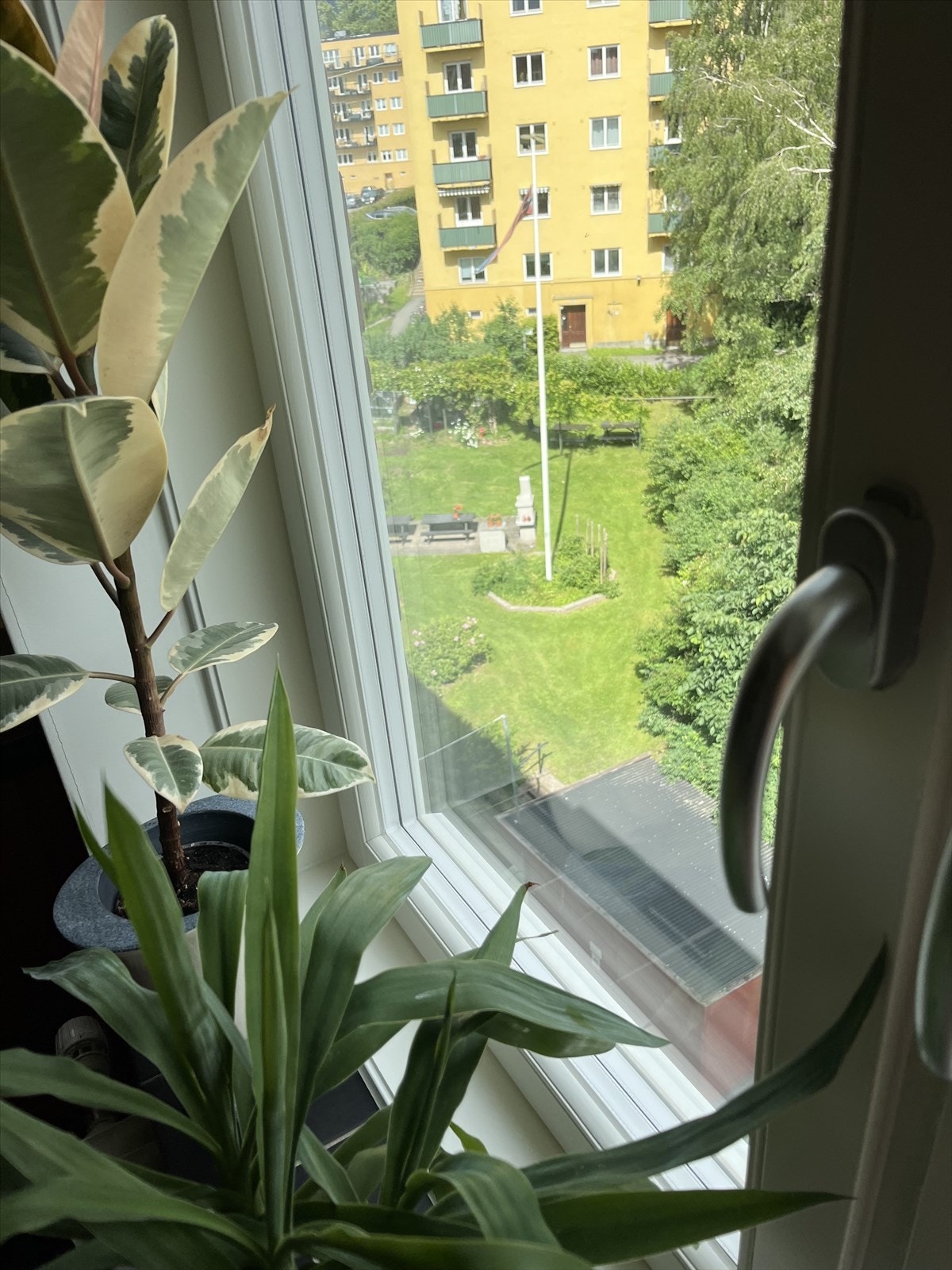 Utsikt fra kjøkken på sommerstid (selgers bilde) Galleribilde