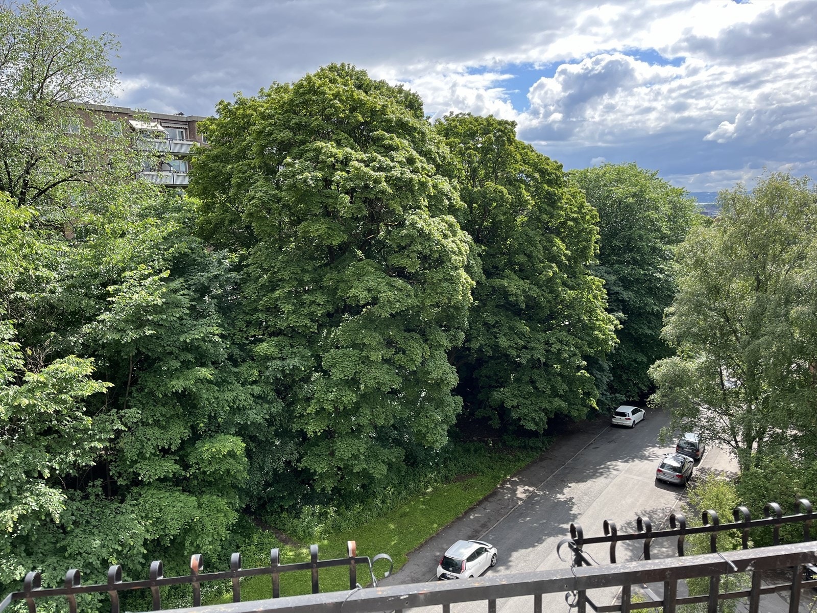 Her det blir det fint og grønt på sommerstid (selgers bilde) Galleribilde