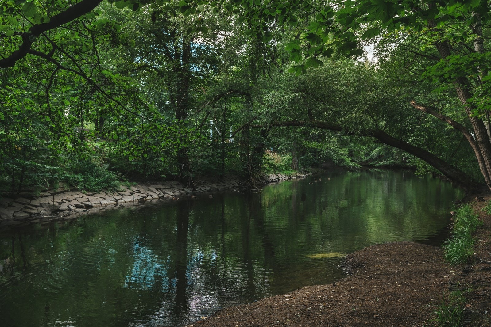 Fine turmuligheter for de aktive. Galleribilde