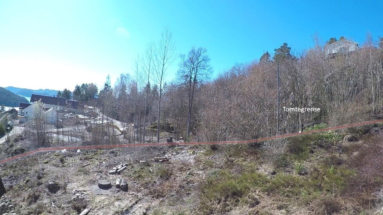 Et relativt flatt område på tomten som egner seg godt for husbygging. Galleribilde