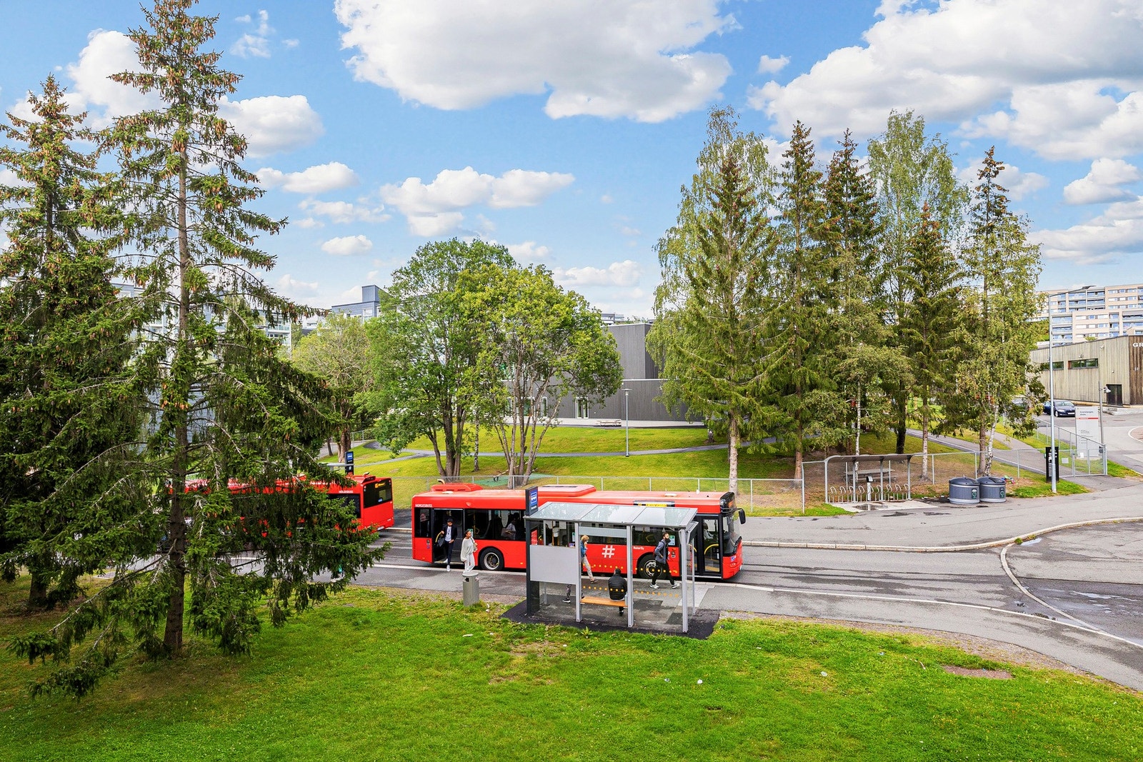 Områdebilder Galleribilde
