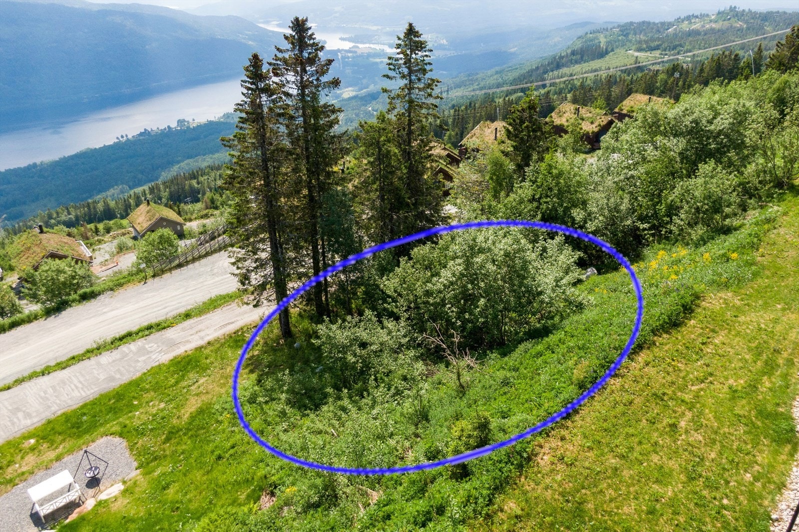 Tomten med utsikt Galleribilde