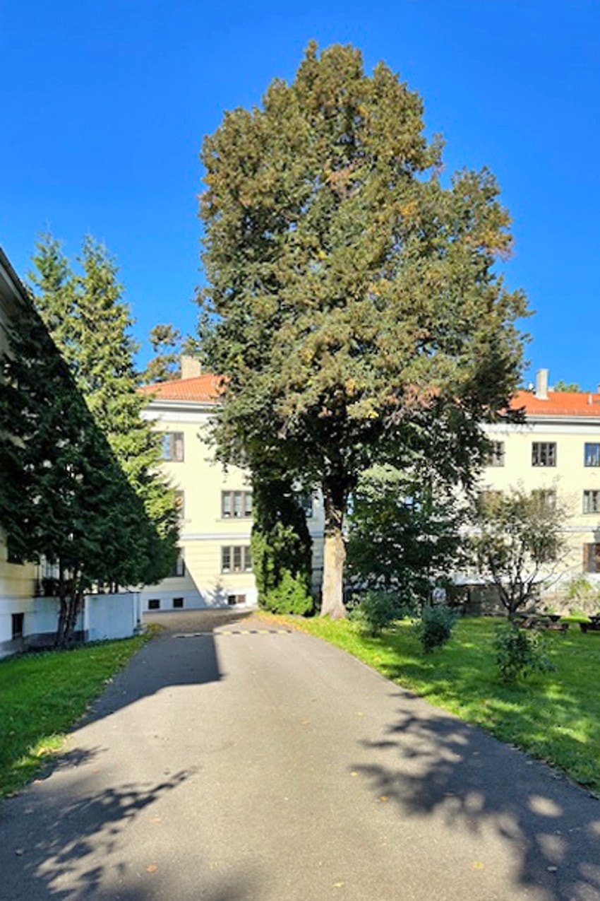 Flott innkjørsel. Galleribilde