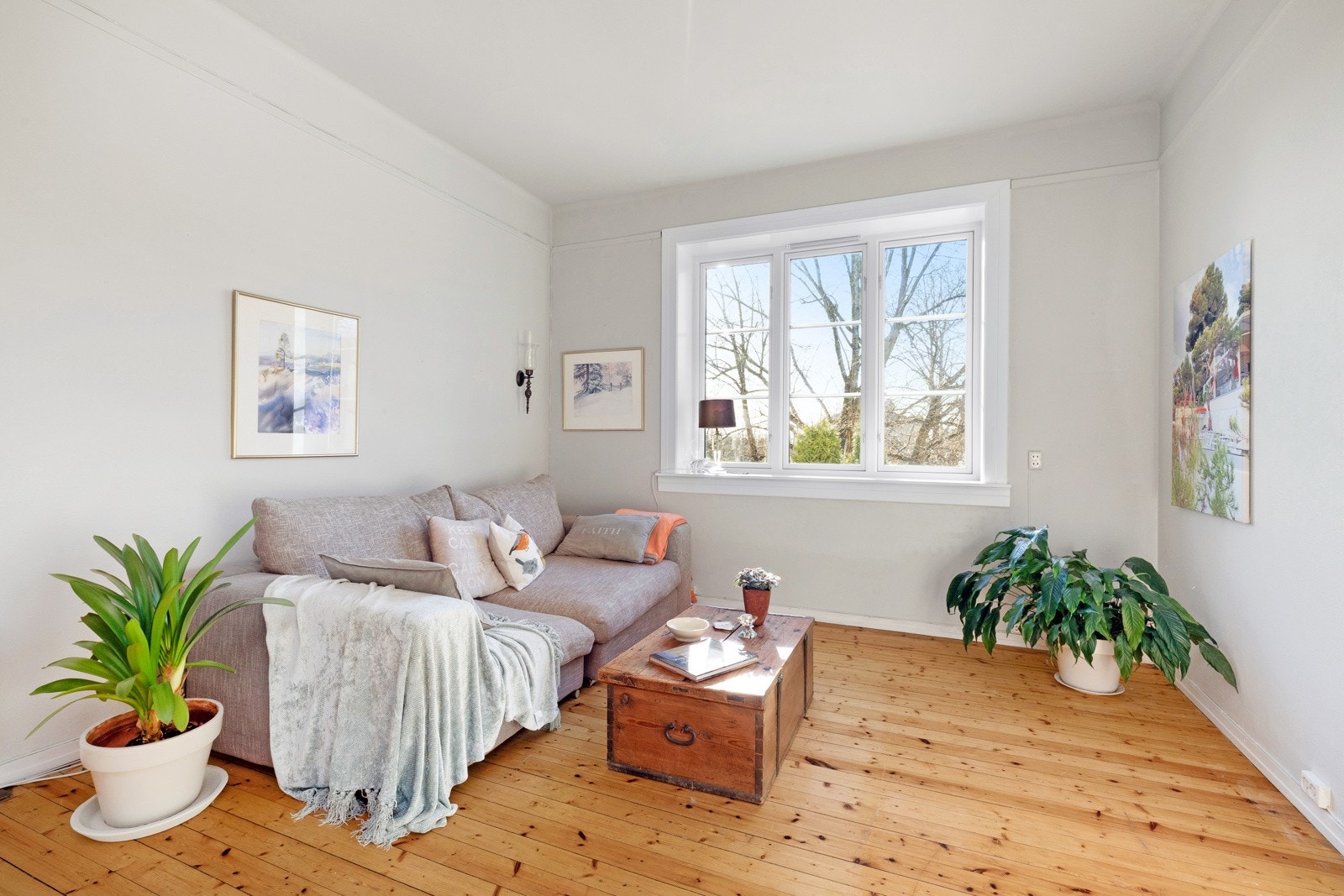 Flotte vinduer fra 2024 som gir rikelig med naturlig lysinnslipp. Galleribilde