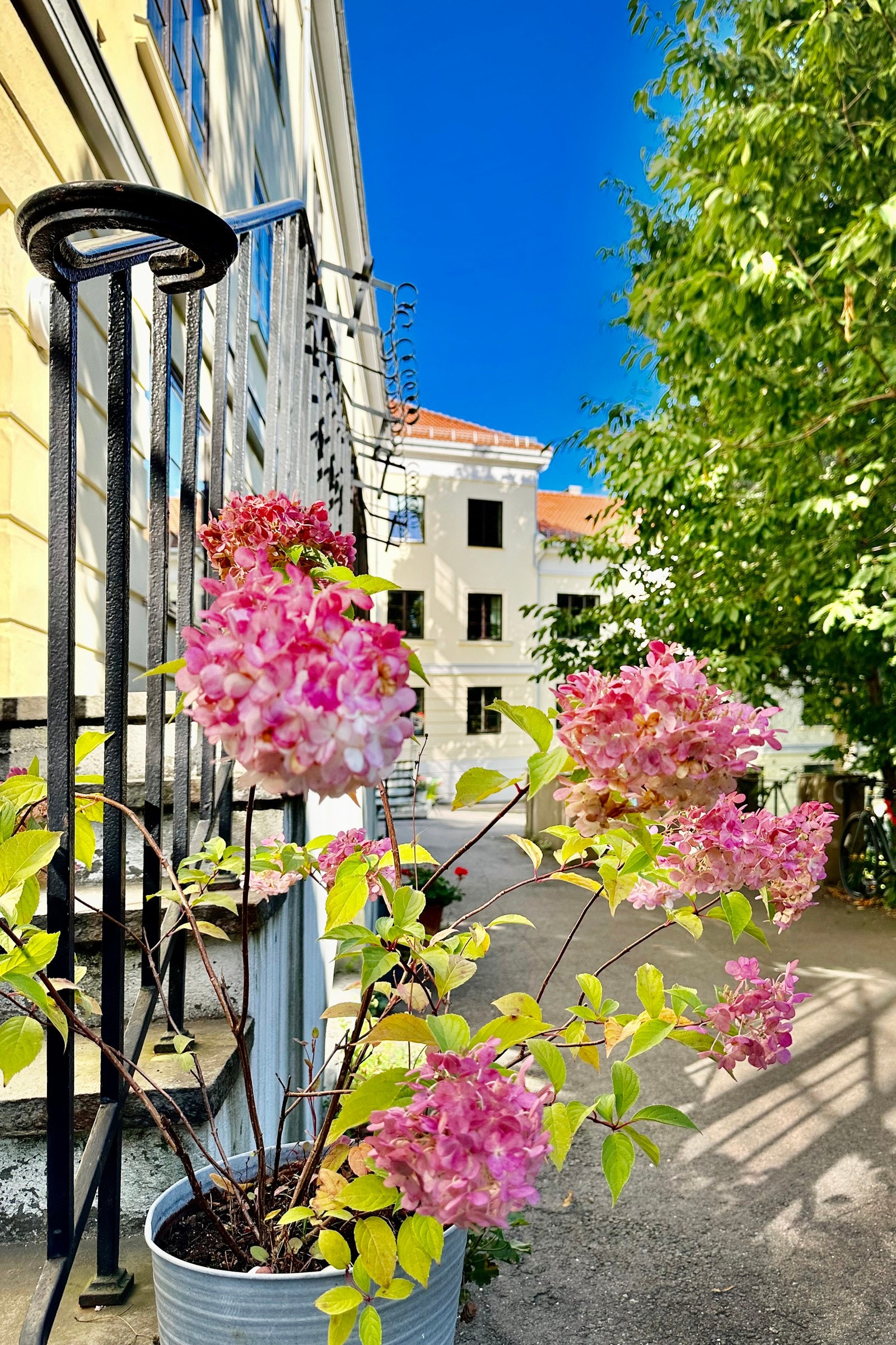 Selgers bilde. Galleribilde