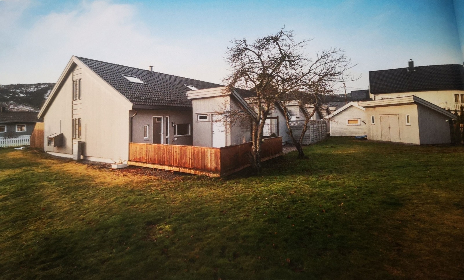 Baksiden. Plommetrær i hagen. Galleribilde