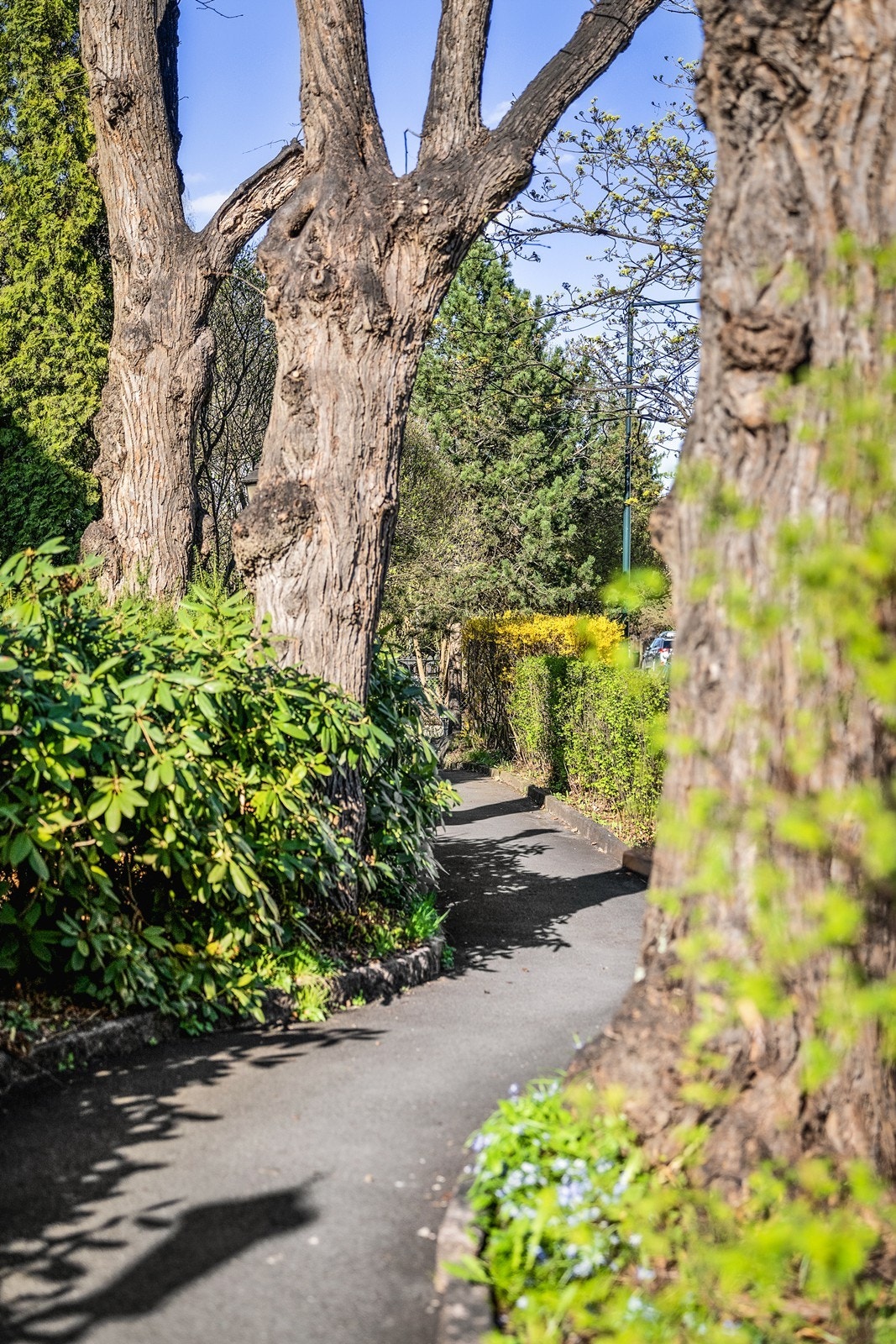 Pent opparbeidet med internveier på tomten som strekker seg over 2,5 mål. Galleribilde