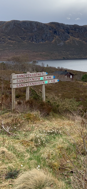 Turmulighetene er mange Galleribilde