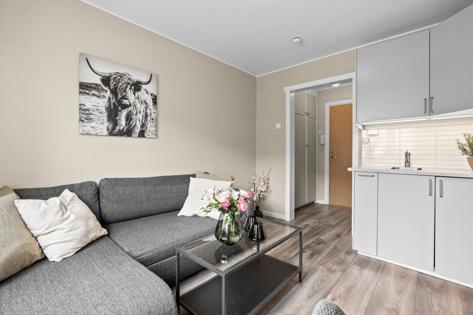 Videre fra stuen har du entréen som en naturlig romdeler mellom oppholdsrom og baderom Galleribilde