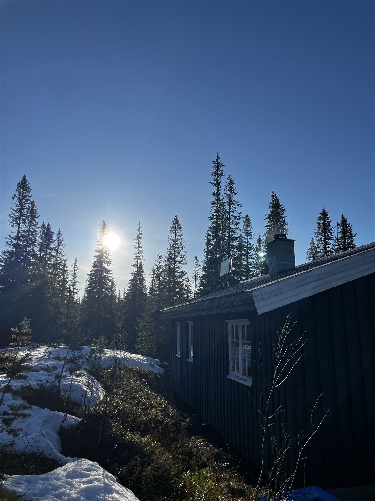 Hytta ligger fint til langs leia inn mot Skjækerfjella Galleribilde