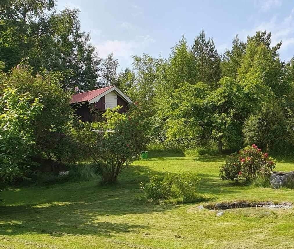 Selgers bilder av eiendommen Galleribilde