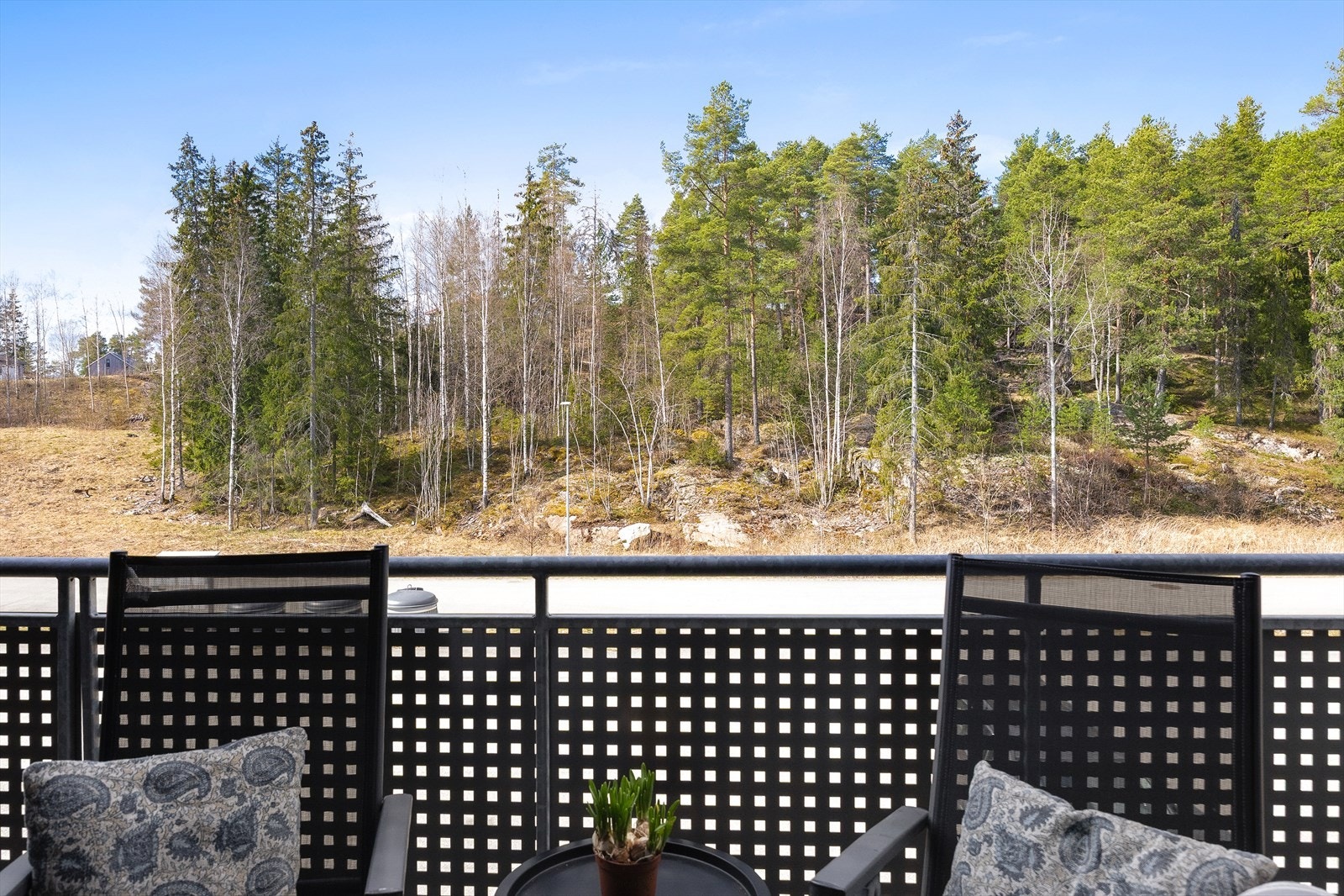 Utsyn fra balkongen mot parkeringen og skogen. Galleribilde
